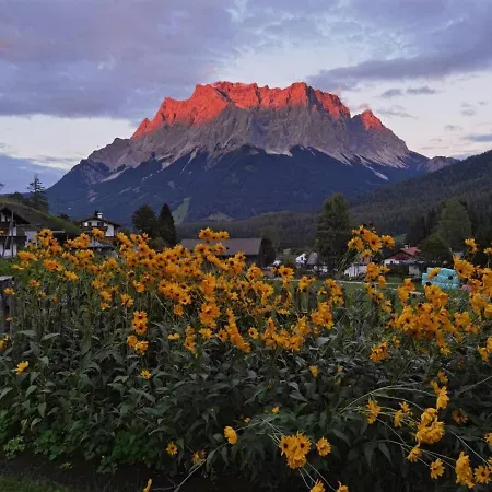 Alpinum Hostel