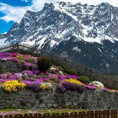Alpinum *