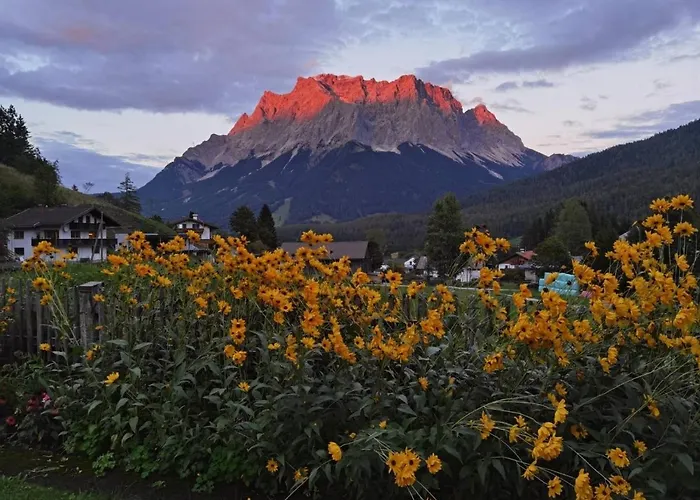 Alpinum ホステル