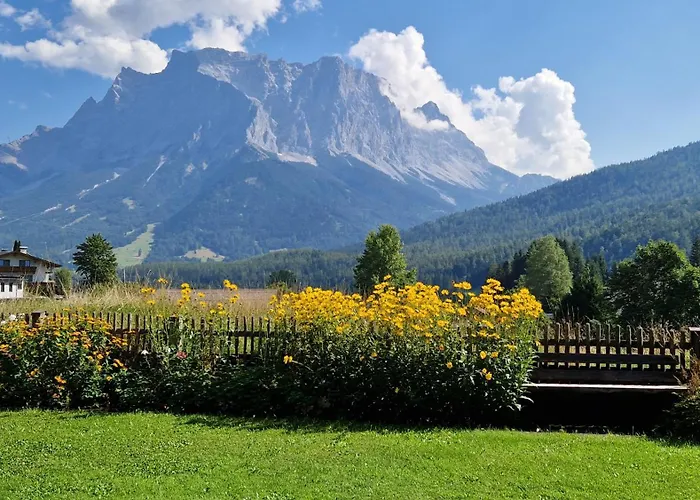 Alpinum ホステル *