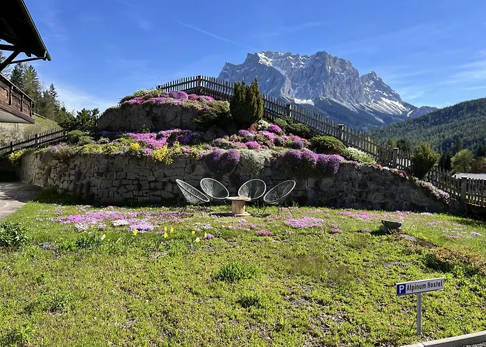 ホステル Alpinum