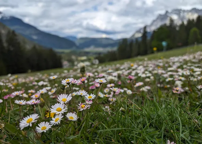 Hostel Alpinum - Guenstige In Der Zugspitz Arena