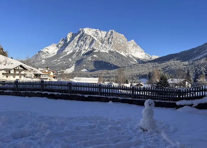 Alpinum ホステル *