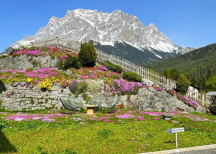 Alpinum ホステル *