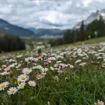 Хостел Alpinum - Guenstige In Der Zugspitz Arena