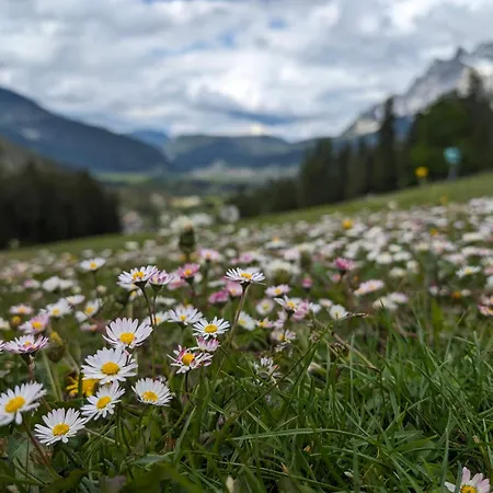 Hostel Alpinum - Guenstige In Der Zugspitz Arena